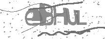 visual captcha